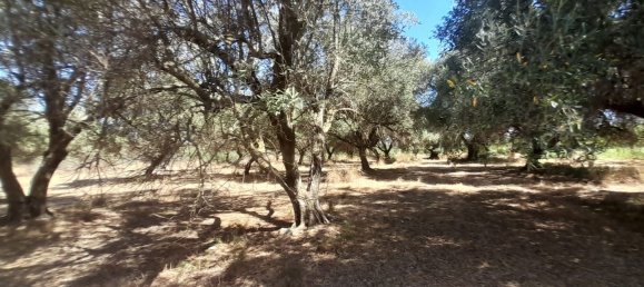 Casa de 2 habitaciónes en Balestrate, Italy No. 255865 2