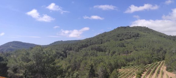 Дом с 8 спальнями в Оливелла, Испания № 118481 68