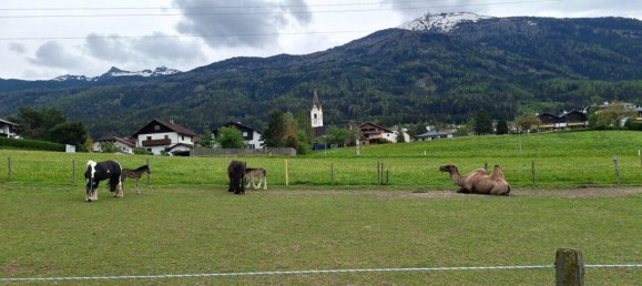 3 rooms Apartment in Sistrans, Austria No. 130579 21