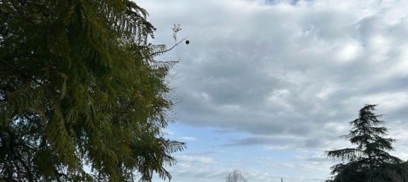 6-Zimmer Haus in Sanremo, Italy, Nr. 65087 22