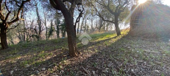 Grundstück in Colognola ai Colli, Italy 4000m², Nr. 134598 5