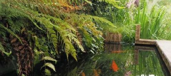 Дом с 3 спальнями в Boblingen, Германия № 27218 21