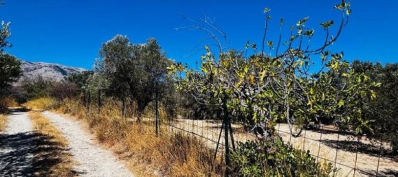 1 Schlafzimmer Gewerbliche Immobilien in Heraklion, Greece, Nr. 53482 15
