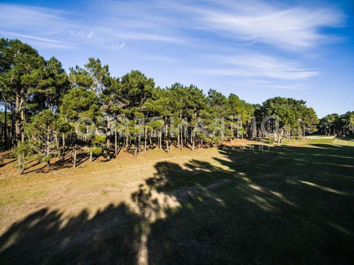  Land in Mar del Plata, Argentina No. 115272