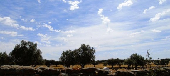 11 bedrooms Castles in Elvas, Portugal No. 144310 33