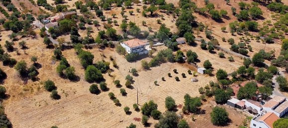 Дом с 3 спальнями в Санта Катарина да Фонте ду Бишпу, Португалия № 177573 32