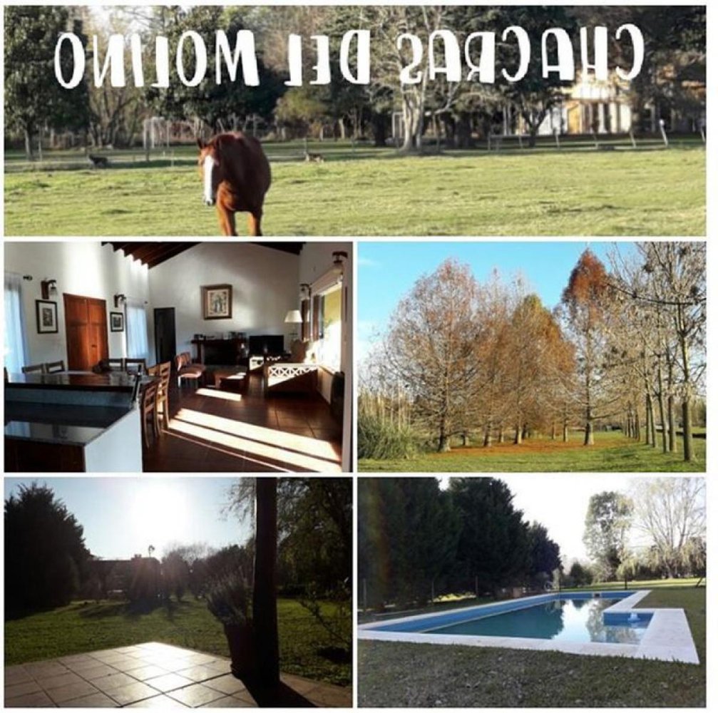 3 bedrooms House in Buenos Aires, Argentina No. 76073