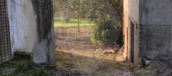 2 غرف نوم منزل في Leiria, Portugal رقم 173160 14