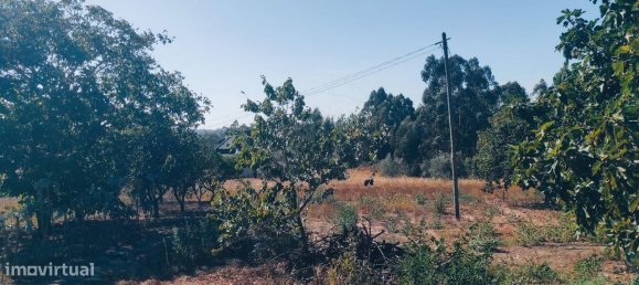 2 غرف نوم منزل في Leiria, Portugal رقم 173160 3