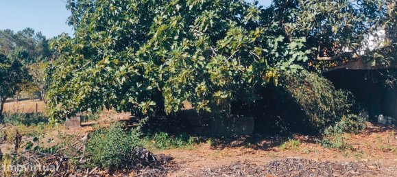 2 غرف نوم منزل في Leiria, Portugal رقم 173160 10