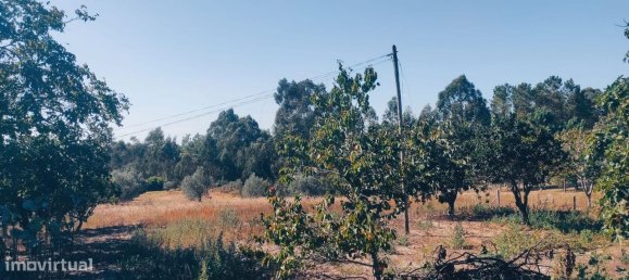 2 غرف نوم منزل في Leiria, Portugal رقم 173160 12