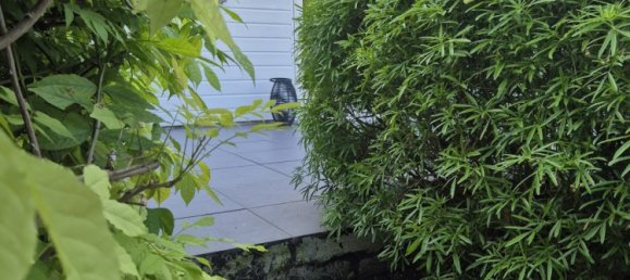 3 bedrooms House in Saint-Amand-les-Eaux, France No. 223028 21