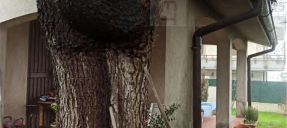 Apartamento de 6 divisões em Cremona, Italy N.º 273073 5