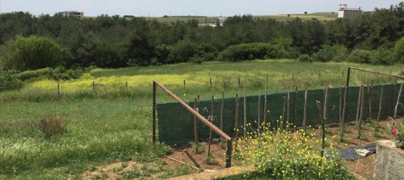 5 Schlafzimmer Gewerbliche Immobilie in Thessaloniki, Greece, Nr. 5712 6