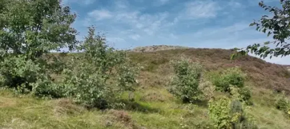 5-salle Maison à Nordfriesland, Germany No. 41121 3