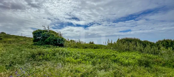  قطعة أرض في Ericeira, Portugal رقم 74580 18