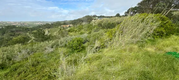  قطعة أرض في Ericeira, Portugal رقم 74580 14