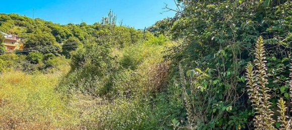 Terreno en Gran Canaria, Spain 250 m² No. 180408 11