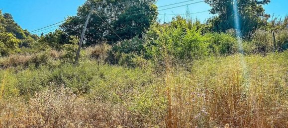 Terreno en Gran Canaria, Spain 250 m² No. 180408 13