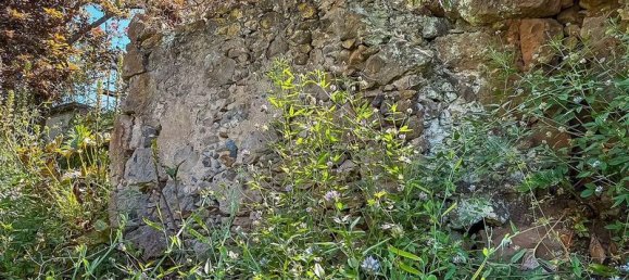 Terreno en Gran Canaria, Spain 250 m² No. 180408 10