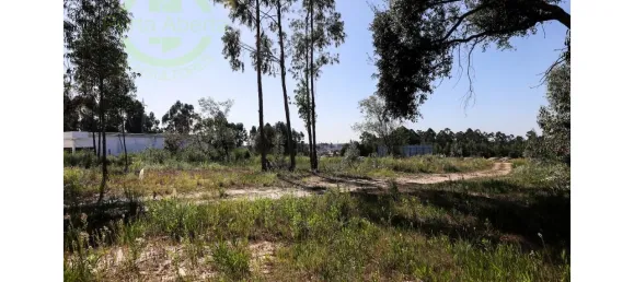 2593m² Land in Santa Maria de Lamas, Portugal No. 95377 3