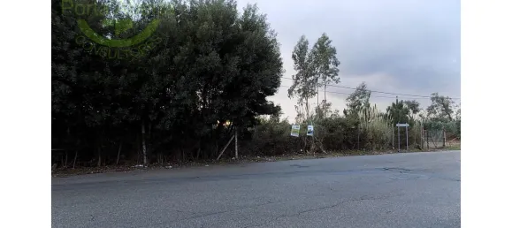 2593m² Land in Santa Maria de Lamas, Portugal No. 95377 4