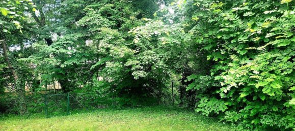 2 bedrooms Apartment in Rhein-Neckar-Kreis, Germany No. 278944 5