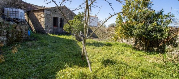 1 غرف نوم منزل في Caria, Portugal رقم 76707 8