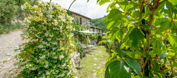 11 bedrooms House in Castellina in Chianti, Italy No. 179459 13