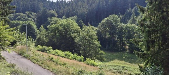 4 rooms House in Rhein-Neckar-Kreis, Germany No. 296937 3