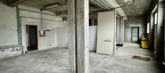 1 room Building in Betting, France No. 48758 6