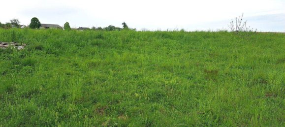 Grundstück in Unterkohlstätten, Austria, Nr. 242986 4