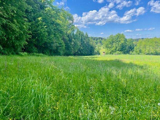  Land in Polfing-Brunn, Austria No. 162190