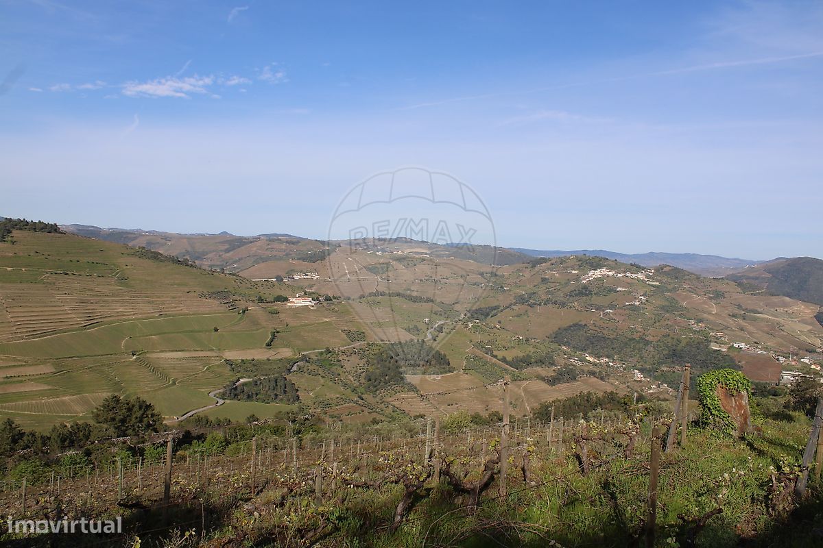 Terrain à Sabrosa, Portugal 11830m² No. 248414