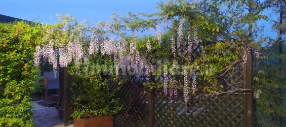 2 Schlafzimmer Villa in Zagarolo, Italy, Nr. 320107 31