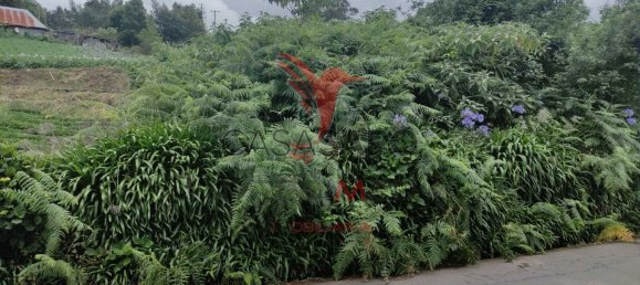  Land in Santana, Portugal No. 89510 19