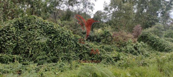  Land in Santana, Portugal No. 89510 15