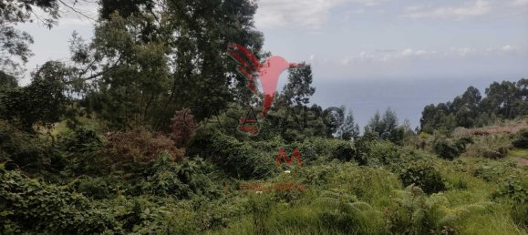  Land in Santana, Portugal No. 89510 16