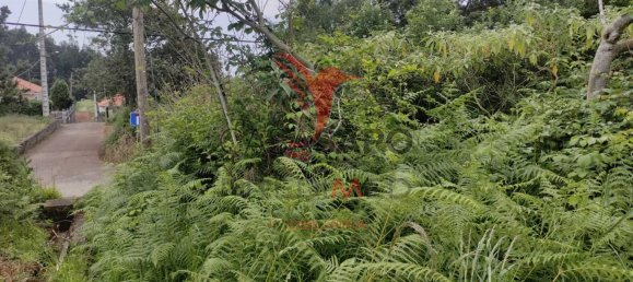  Land in Santana, Portugal No. 89510 5