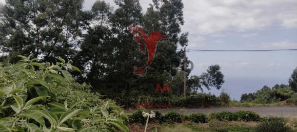  Land in Santana, Portugal No. 89510 12