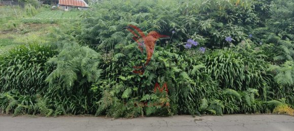  Land in Santana, Portugal No. 89510 14