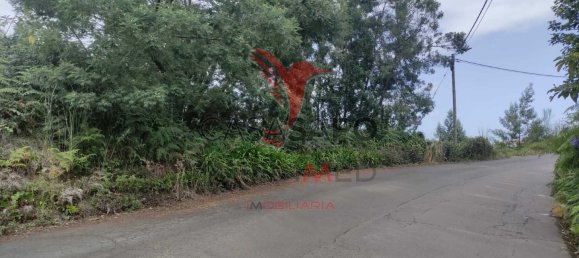  Land in Santana, Portugal No. 89510 4