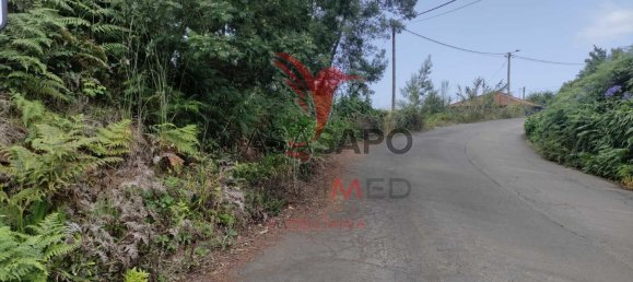  Land in Santana, Portugal No. 89510 2