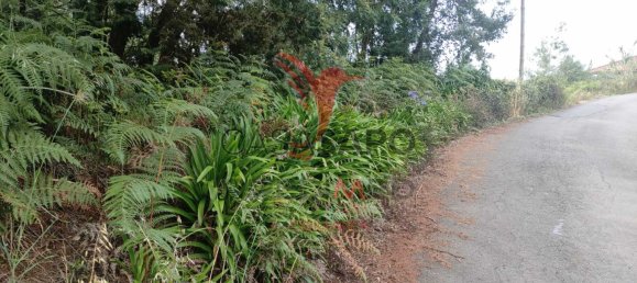  Land in Santana, Portugal No. 89510 10