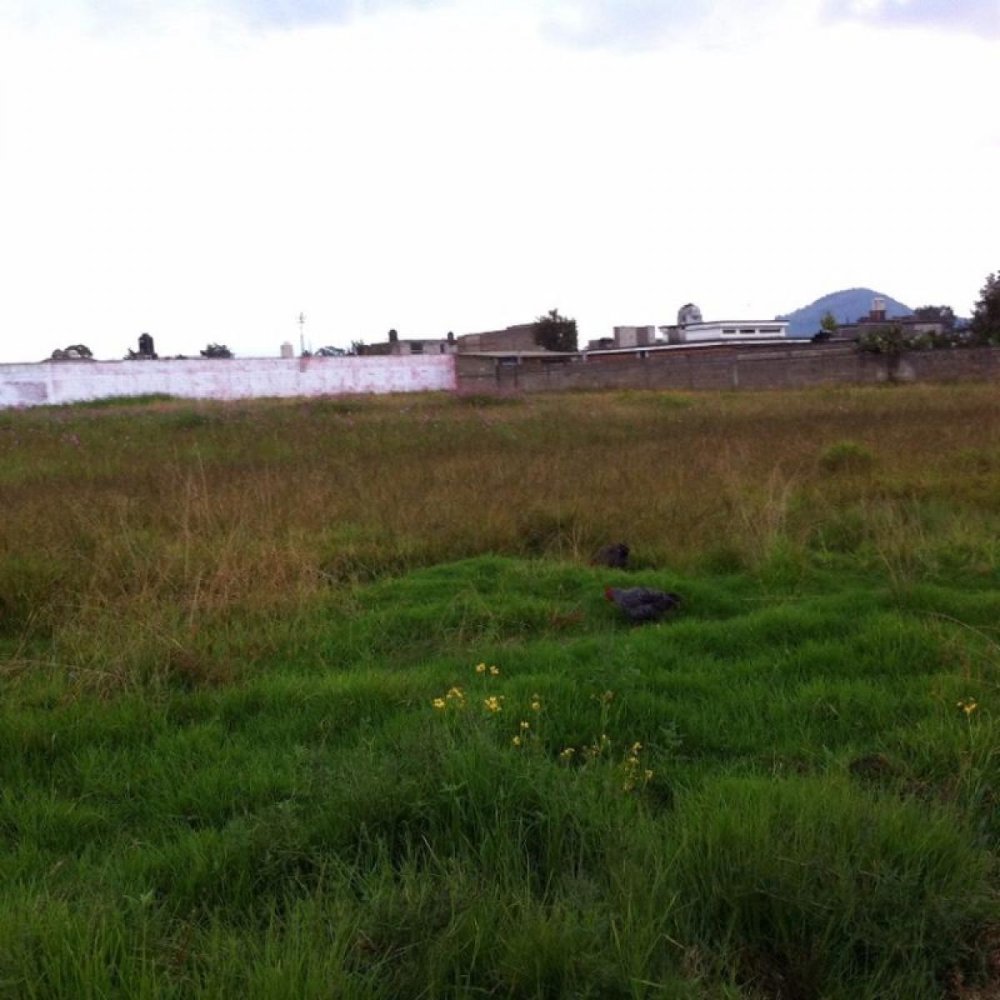 Terreno en San Buenaventura, Mexico No. 205609