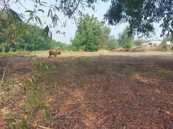 7.84m² Land in District 7, Vietnam No. 7518