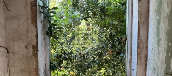 3 bedrooms House in Vandoma, Portugal No. 230054 23