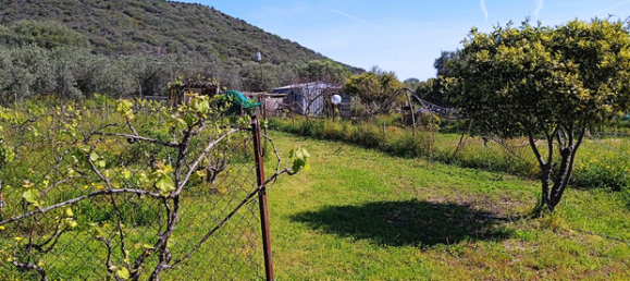  قطعة أرض في Loiri Porto San Paolo, Italy 1400متر مربع رقم 258397 5