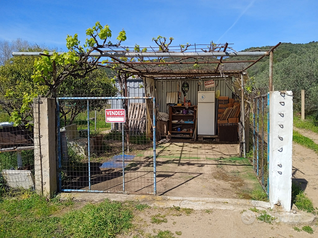  قطعة أرض في Loiri Porto San Paolo, Italy 1400متر مربع رقم 258397