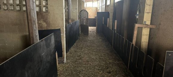 Armazém de 3 divisões em Sant'Alessio con Vialone, Italy N.º 356259 50